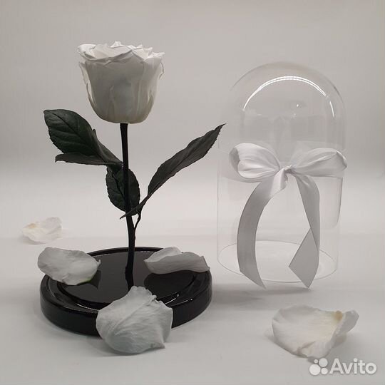 Розы в колбе огромный выбор