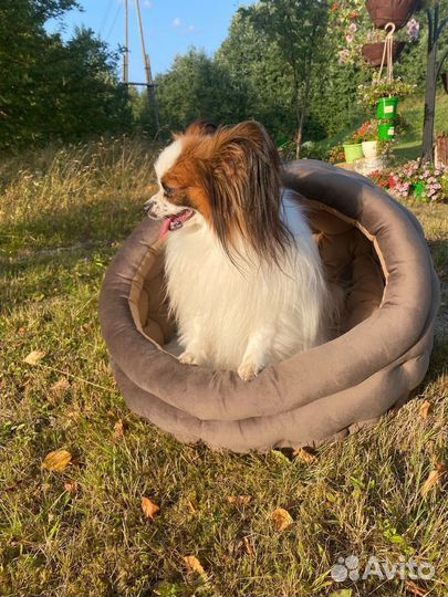 Домик для животных