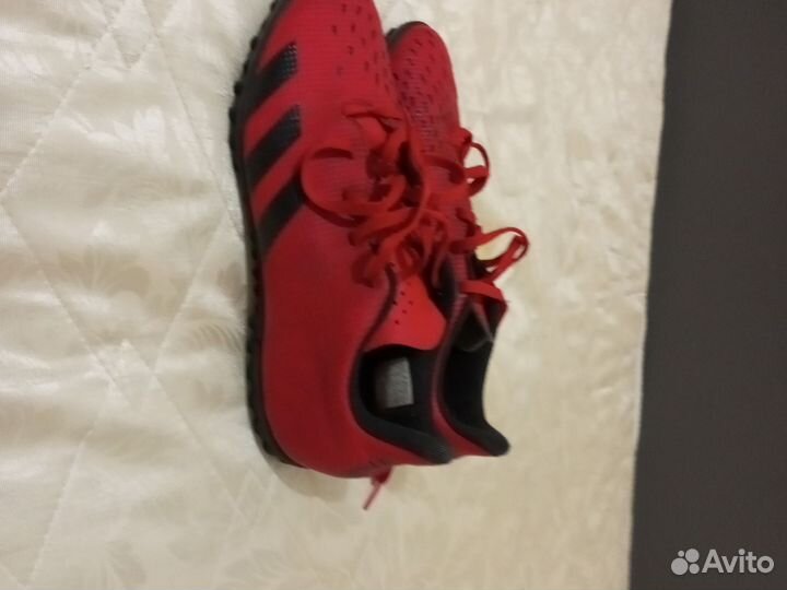 Сороконожки adidas predator