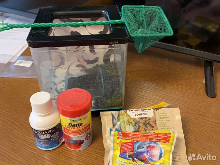 Аквариум для декоративной рыбки петушка