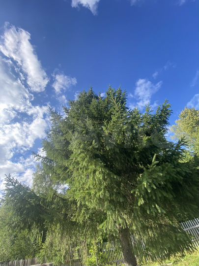 Дача 50 м² на участке 10 сот.