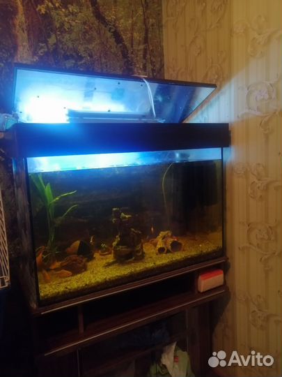 Аквариумы