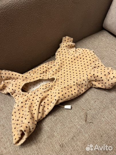 Одежда для собак