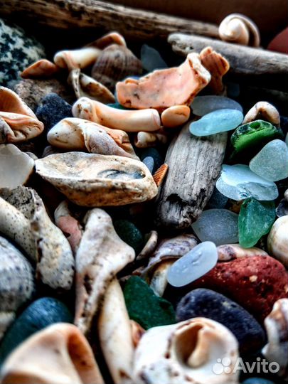 Морские сувениры.(для творчества,аквариумов)