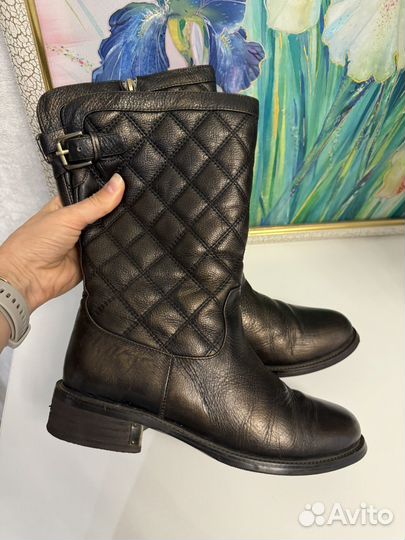 Сапоги зимние Эконика