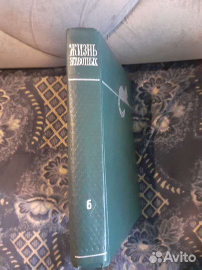 Энциклопедия