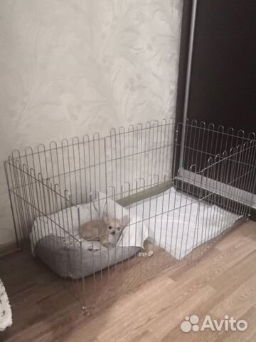 Вольер манеж для собак 6 секций высота 64,9 см