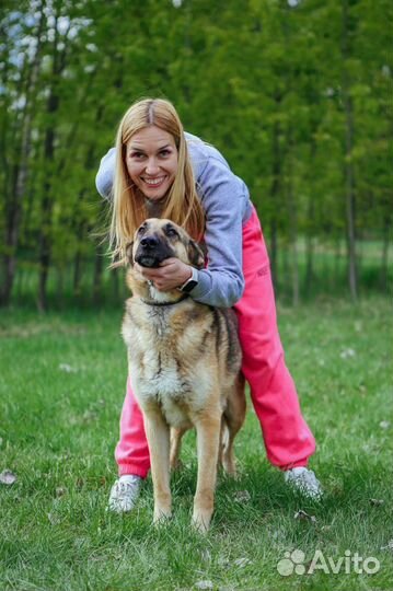 Спаси собаку из приюта