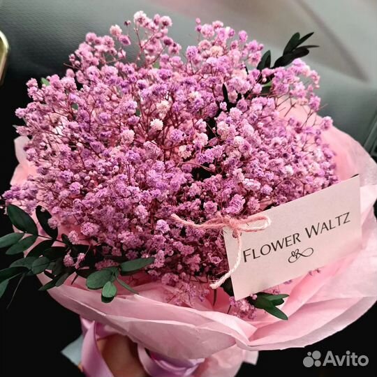 Комнатные растения цветы