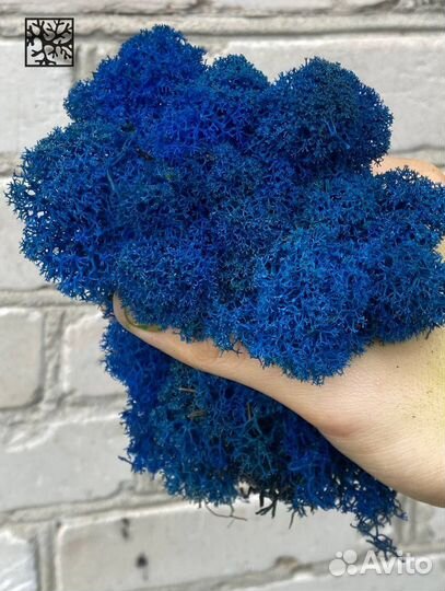 Мох для дизайна Оливковый