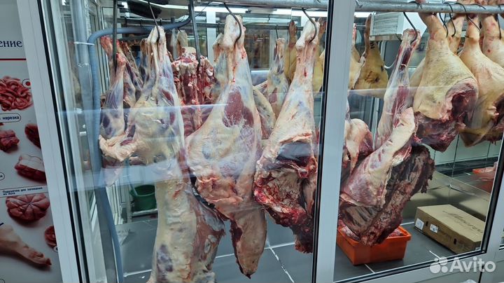Продам готовый бизнес мясной магазин