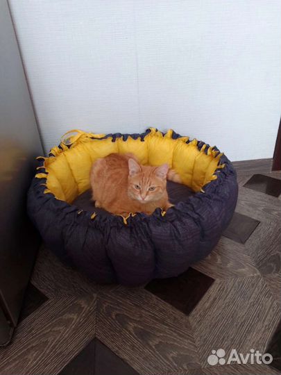 Лежанка для кошки