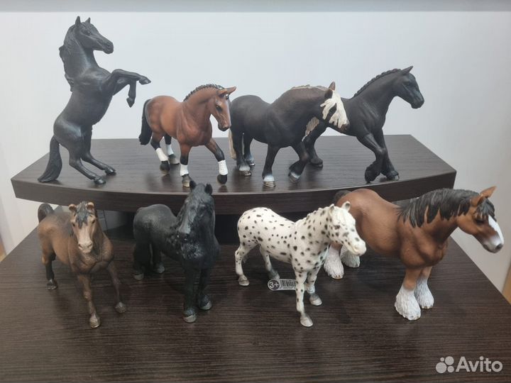 Редкие лошади Шляйх