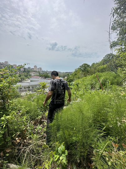 Участок 7 га (СНТ, ДНП)