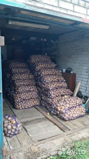 Картофель свежий доставка