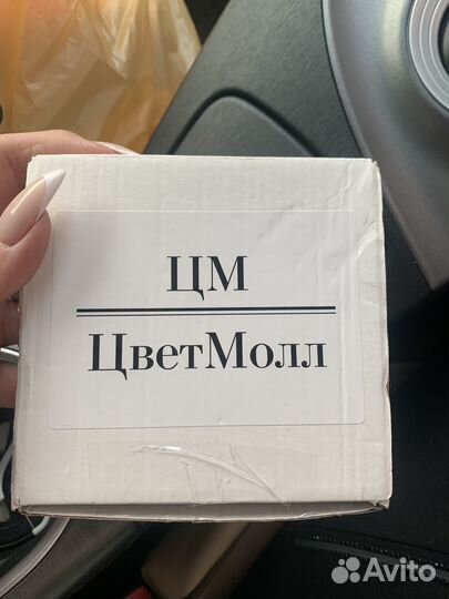 Дидема веточка в причёску