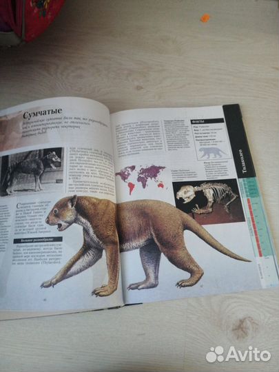 Детская энциклопедия