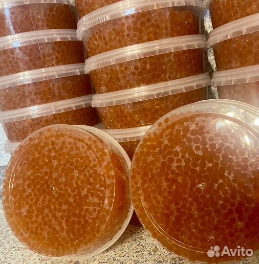 Икра красная Кета. 2023 год вылов