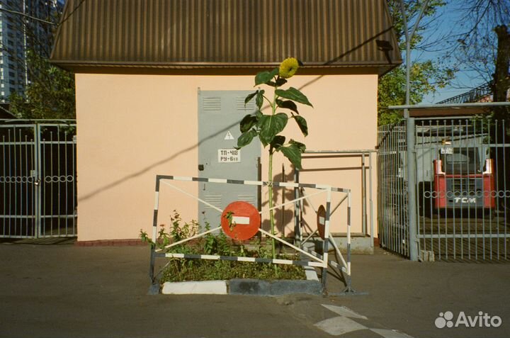 Плëночный фотоаппарат Nikon lite touch zoom 130 ED