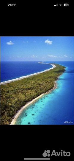 Экскурсия на куршскую косу, за мой счет