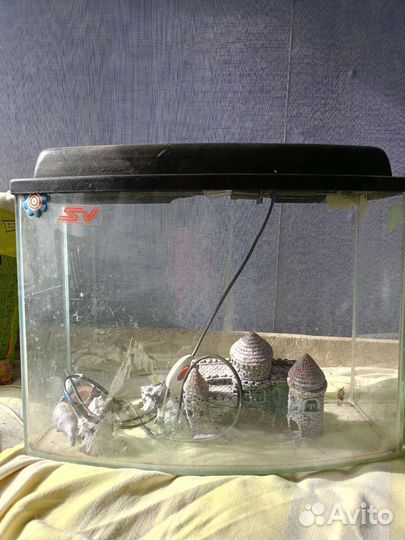 Аквариум
