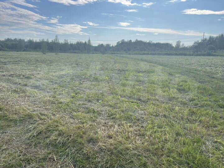Участок 4,7 га (СНТ, ДНП)