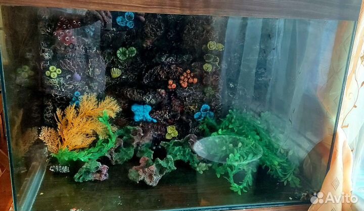 Аквариум бу