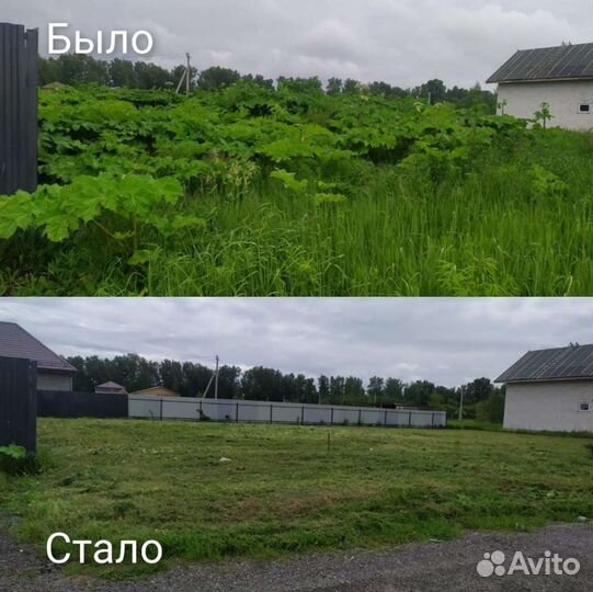 Покос травы, борщевика