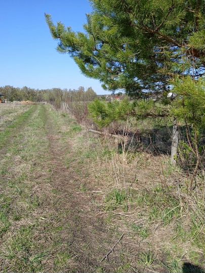 Участок 16,8 сот. (ИЖС)