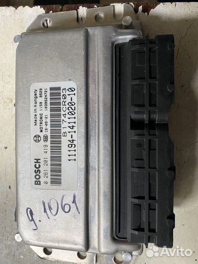 Мозги калина1