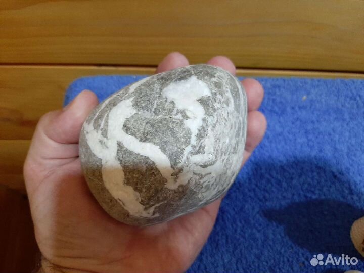 Ракушка океаническая 25 на 21 см