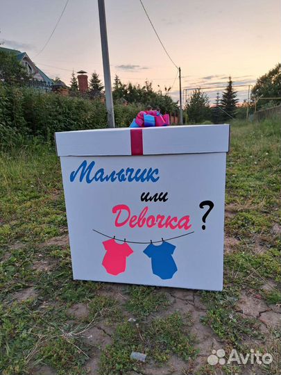 Коробка на гендер пати