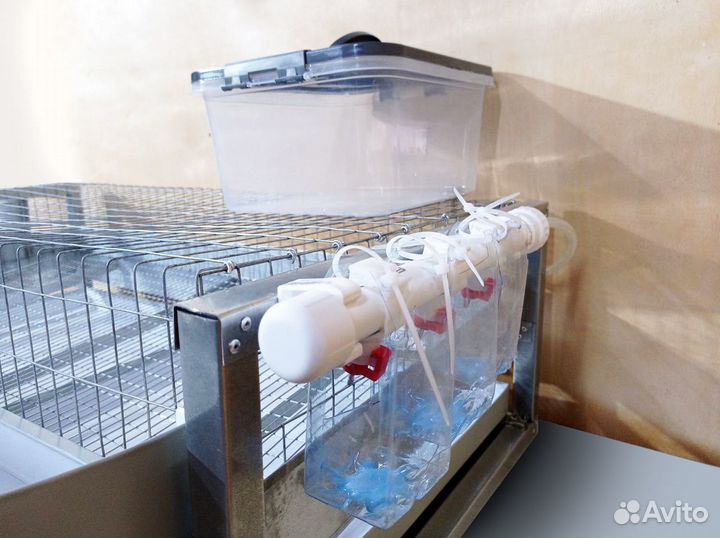 Клетка, кормушка поддоны для перепелов