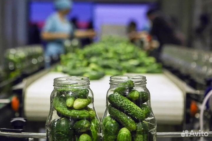 Рабочие на консервный завод г. Волжский