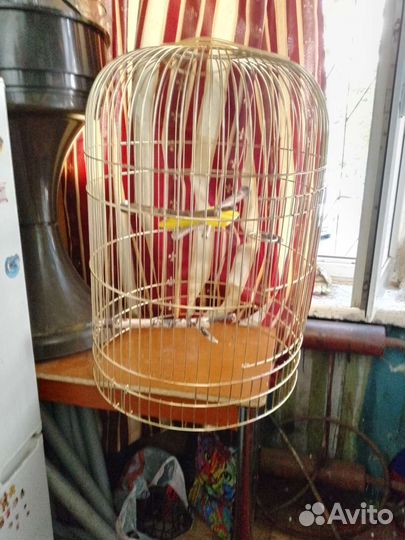 Клетка для попугая