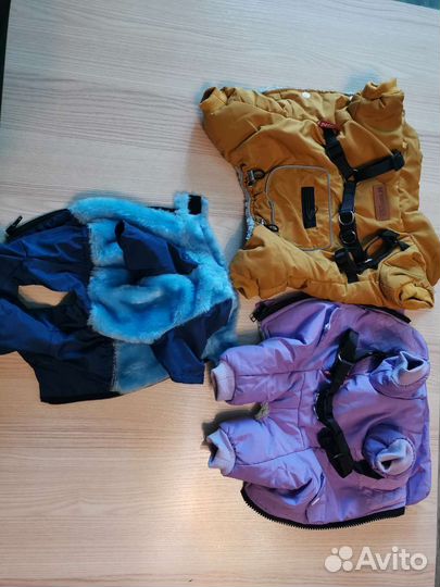 Одежда для собак мелких пород