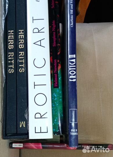Фотоальбомы и книги по эротике Erotic Art-1
