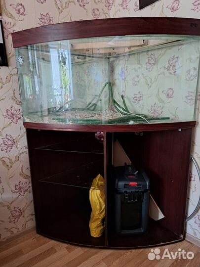 Угловой аквариум 500 л с тумбой