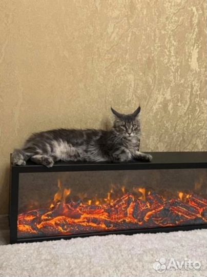 Электрокамин