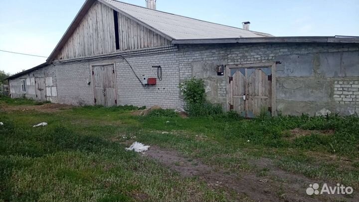 Ферма коровник