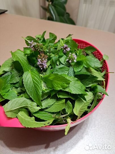 Мята ментоловая сушеная