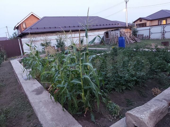 Коттедж 197 м² на участке 8,2 сот.