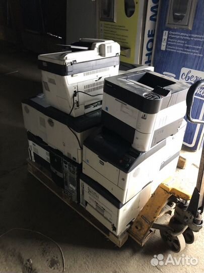 Оптовая продажа мфу, принтеров Kyocera, HP
