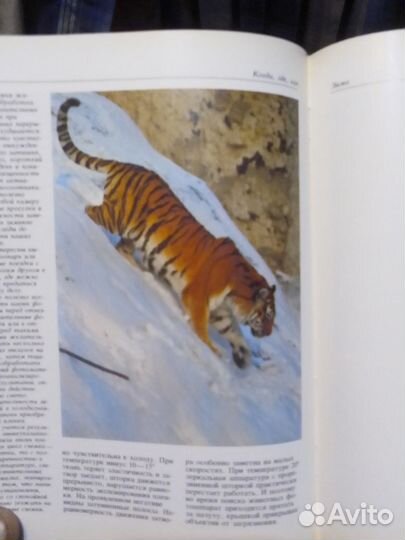 Фотоохота, книга