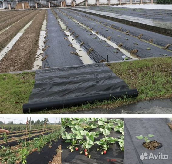 Спанбонд в наоичии