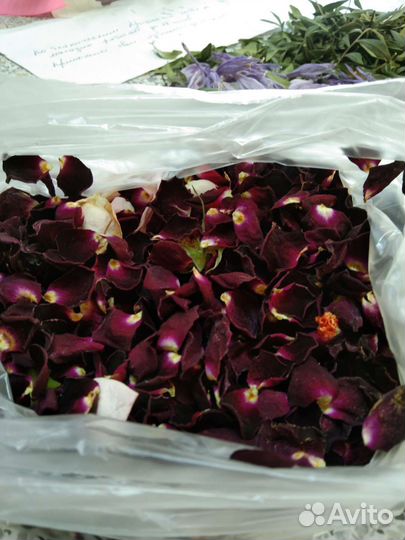 Ботаническая свеча