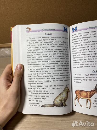 Энциклопедия для начальной школы. Учебник