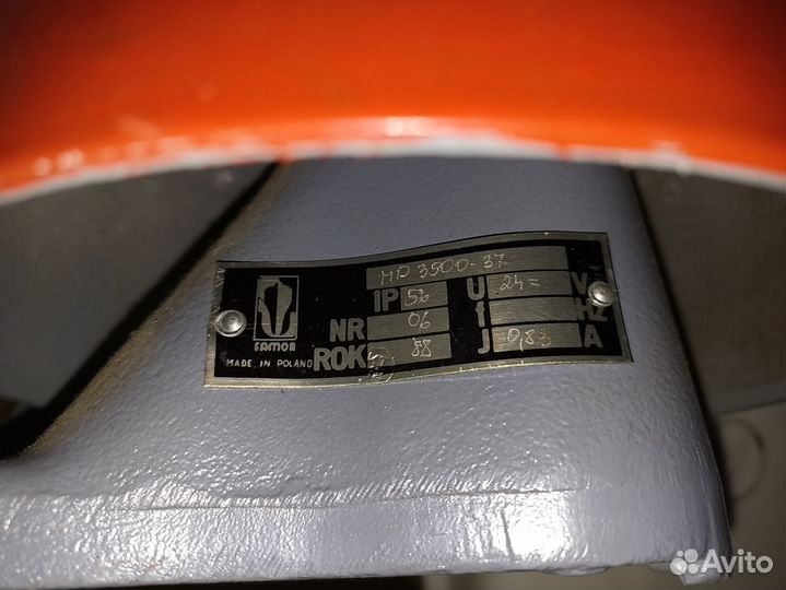 Звонок морской. Польша