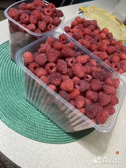 Малина саженцы