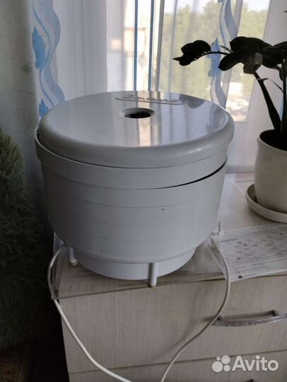 Сушилка для фруктов и овощей